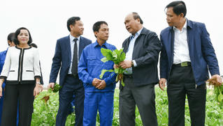 Năng suất nông nghiệp Việt Nam cần phải tập trung vào đâu?