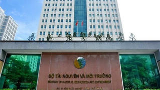 Bổ nhiệm lãnh đạo tại Bộ TN&MT: Gần 100 trường hợp thiếu bằng cấp, chứng chỉ