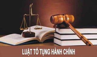 Xử nghiêm Bộ trưởng, Chủ tịch tỉnh vi phạm trong việc thi hành án hành chính