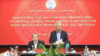 Phải xử lý vi phạm ngay từ khi mới phát sinh