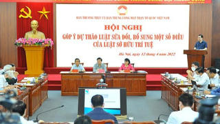 'Phải có Tòa án về Sở hữu trí tuệ'