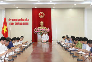 Lãnh đạo tỉnh Quảng Ninh bàn giải pháp tiêu thụ gỗ rừng gãy, đổ do bão