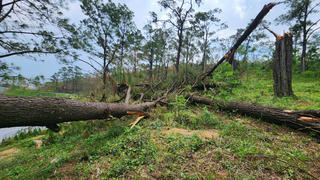 Quảng Ninh: Cần nâng cao trách nhiệm về phòng cháy chữa cháy rừng sau bão