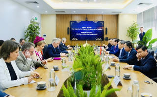 Nhà Vua Vương quốc Bỉ thăm Quảng Ninh