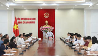 Lãnh đạo tỉnh Quảng Ninh làm việc với Liên minh Hợp tác xã