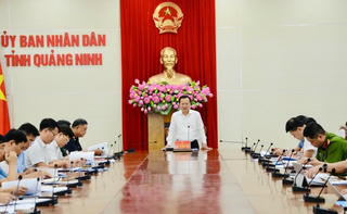 54 chủ tịch cấp xã tham gia Ban Chỉ đạo 389 tỉnh Quảng Ninh