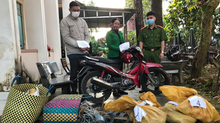 Đôi nam nữ đặt bẫy trộm 16 con mèo