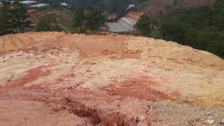 Chậm khắc phục sau vi phạm san ủi rừng trái phép