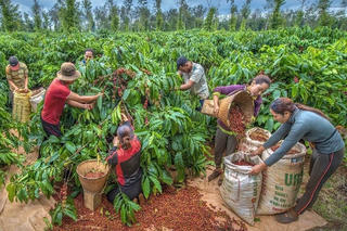 Cung - Cầu thị trường lao động Lâm Đồng quý I/2024 đều tăng