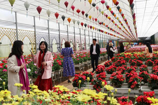 4 giải pháp để Lâm Đồng phát triển du lịch chất lượng cao