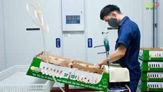 Masan MEATLife chính thức sở hữu 51% Công ty 3F VIỆT
