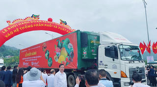 WinCommerce cam kết tiêu thụ 400 - 500 tấn xoài Sơn La