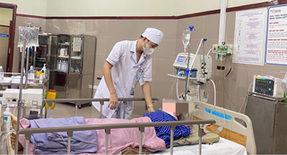 Nhiều người nhập viện do trèo cây hồi ở Lạng Sơn