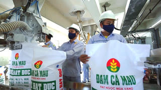 PVCFC - một năm vượt khó thành công