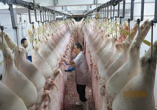 Các địa phương được yêu cầu chấn chỉnh quản lý hoạt động giết mổ động vật 