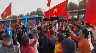 Cổ động viên hân hoan đón đội tuyển Việt Nam trở về cùng chiếc cúp vô địch