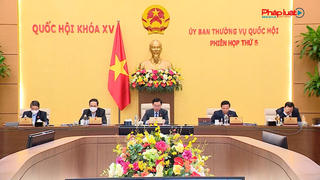 Thường vụ Quốc hội thông qua Nghị quyết giải thích một số điều của Bộ luật Hình sự