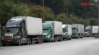 Lạng Sơn tạm dừng tiếp nhận xe hoa quả tươi từ 17-1