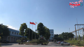 Công ty Nhiệt điện Sơn Động An toàn - Đổi mới - Phát triển