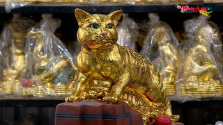 Nhiều linh vật Mèo “độc đáo” thu hút người dân và du khách