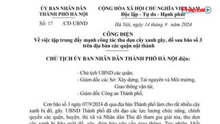 Chủ tịch TP Hà Nội ra công điện yêu cầu tập trung đẩy mạnh công tác thu dọn cây xanh gãy, đổ sau cơn bão số 3