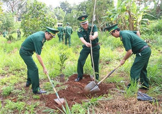 Bộ đội Biên phòng Đắk Nông phát động tết trồng cây "Đời đời nhớ ơn Bác Hồ"