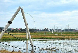 Hàng loạt cột điện ở Thanh Hóa gãy đổ ngổn ngang sau mưa giông