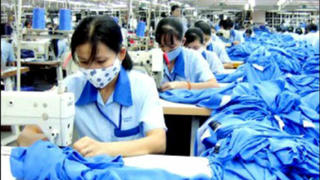 Nguy cơ vỡ quỹ BHXH: Chỉ một nửa số doanh nghiệp nộp tiền BHXH