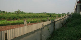 "Miền xanh" mới của người dân Phú Thượng 