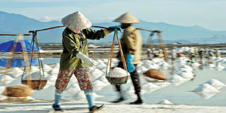 Bán 30 cân muối mới đủ mua 1 cân gạo loại rẻ nhất