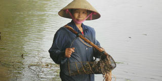 Cơ cực cảnh miệt mài những mẻ quăng, cào... ven thủ đô
