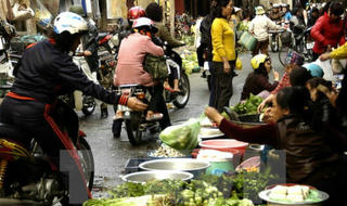 Giá các loại rau, củ, quả cận ngày Tết tăng gấp hơn 3 lần