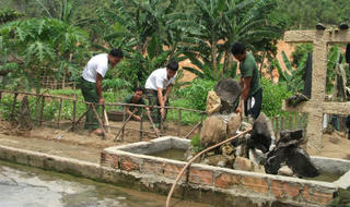 Ngày thường lính công trình