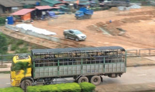 Cửa khẩu Cha Lo: Kiểm dịch trâu, bò nhập khẩu qua loa, hiểm họa dịch bệnh
