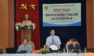Quảng Nam: Công bố chỉ dẫn địa lý sâm củ Ngọc Linh