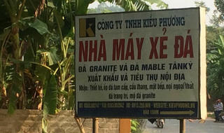 San phẳng đất rừng xây nhà máy gỗ dăm trái phép