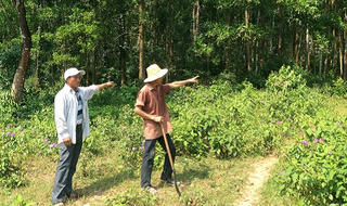 Quảng Trị: Hai nông dân bỏ công khai hoang nhưng… không được khai thác