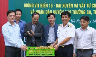 Triển vọng kinh tế biển đảo