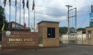 Khốn khổ vì nhà máy phân bón gây ô nhiễm ở Bình Phước