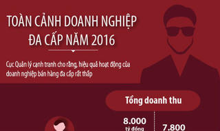 [Infographic] Bức tranh toàn cảnh doanh nghiệp đa cấp năm 2016