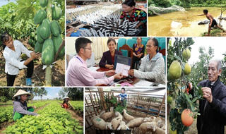 Hậu Giang: “Điểm nhấn” từ củng cố chất lượng Tổ Tiết kiệm và vay vốn