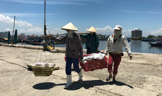 Phận đời mưu sinh nơi cảng cá 