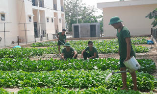 Bộ đội Biên phòng tỉnh An Giang: “Lá cờ đầu” trong công tác quân nhu