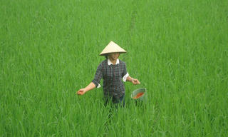 Sẽ xử phạt thêm nhiều vi phạm trong lĩnh vực phân bón