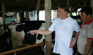 Giao lưu chăn nuôi bò sữa giữa nông dân Việt Nam và nông dân Hà Lan