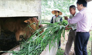 Tín dụng chính sách: Điểm tựa thực hiện bình đẳng giới