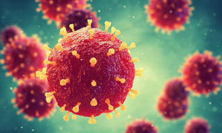 WHO cảnh báo: Nguy cơ bùng phát virus chết người