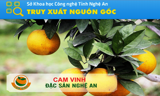 Cam Vinh: Bất cập trong quy hoạch và thương hiệu 