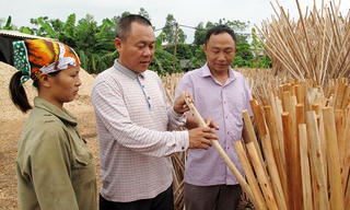 Thu tiền tỷ từ việc làm cán chổi