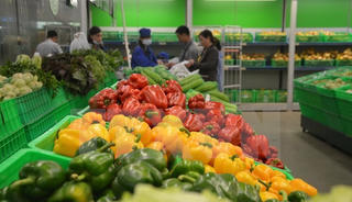 Xuất khẩu nông, lâm, thủy sản 11 tháng qua ước đạt trên 33 tỷ USD
